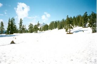 Alpine meadows on snow trail leading to Elfin Lakes 2000-06.